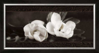 Soft Magnolias I by Christine Elizabeth Pricing Limited Edition Print image