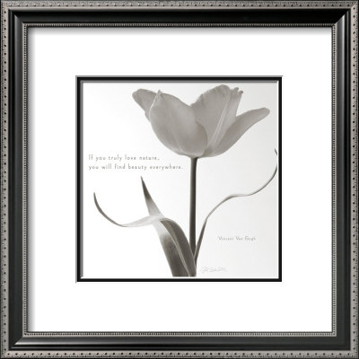 Tulip Beauty by Deborah Schenck Pricing Limited Edition Print image