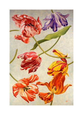 Floral Tulips Iii by David Hwang Pricing Limited Edition Print image