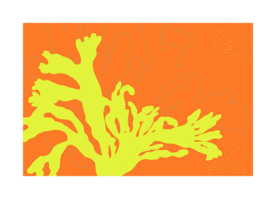 Seaweed 3 by Jefdesigns Jefdesigns Pricing Limited Edition Print image
