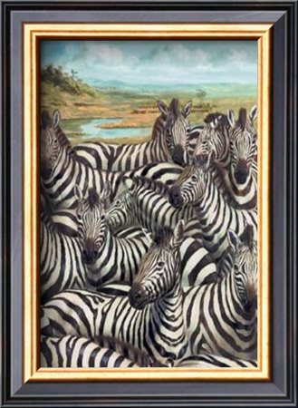 Zebra Gathering by Kilian Pricing Limited Edition Print image