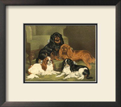 Toy Spaniels by Vero Shaw Pricing Limited Edition Print image