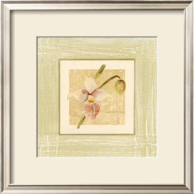 Exotic Floral Iv by Cheri Blum Pricing Limited Edition Print image