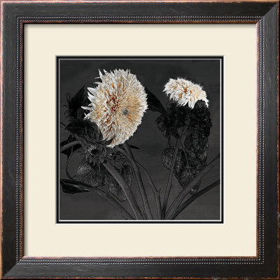 Sunflowers I by Shelley Lake Pricing Limited Edition Print image