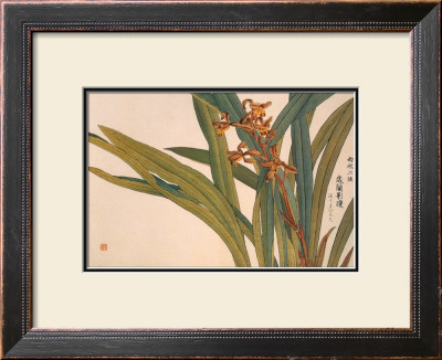 Brown Orchids by Kosikose Pricing Limited Edition Print image