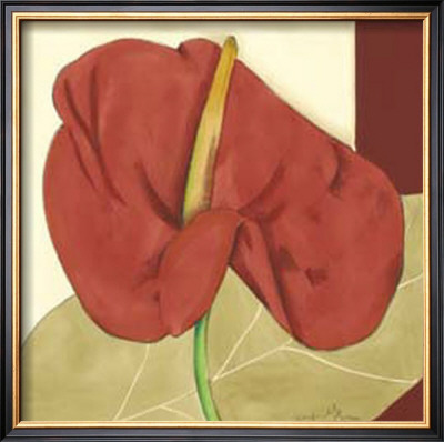 Anthurium Elegance Iv by Jennifer Goldberger Pricing Limited Edition Print image