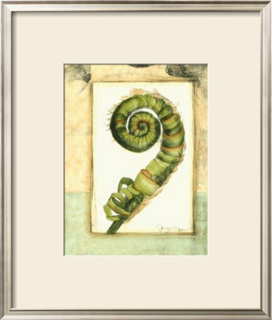 Fiddlehead Collage Ii by Jennifer Goldberger Pricing Limited Edition Print image