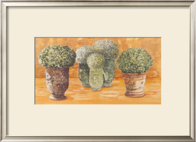 Pots Et Buis I by Laurence David Pricing Limited Edition Print image