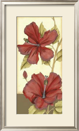 Sophisticated Hibiscus Iv by Jennifer Goldberger Pricing Limited Edition Print image