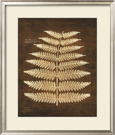 Terra Fern I by Maxwell Hutchinson Pricing Limited Edition Print image