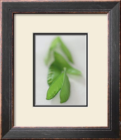 Mangetout by Sara Deluca Pricing Limited Edition Print image