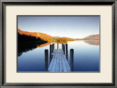 Stand Alone by Chris Simpson Pricing Limited Edition Print image