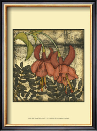 Mini Fuchsia And Silhouette Ii by Jennifer Goldberger Pricing Limited Edition Print image