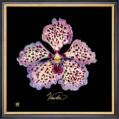 Vivid Orchid V by Ginny Joyner Pricing Limited Edition Print image