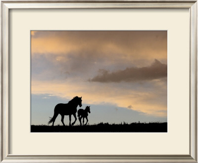 Mare And Foal by Klein & Hubert Pricing Limited Edition Print image