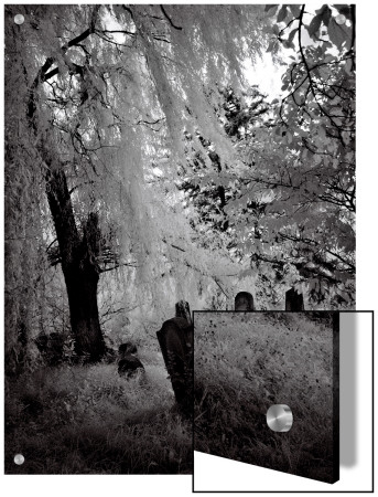 Eerie Cemetary, Romania by I.W. Pricing Limited Edition Print image