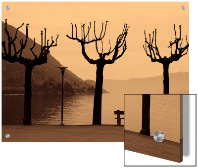 Trees And Bench By Misty Lake, Lago Maggiore, Italy by I.W. Pricing Limited Edition Print image