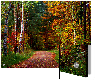 Narrow, Dirt Road Through Autumn Woods by I.W. Pricing Limited Edition Print image