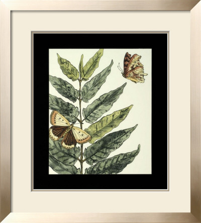 Butterflies And Leaves I by Megan Meagher Pricing Limited Edition Print image