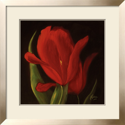 Red Tulips I by Patricia Martin Pricing Limited Edition Print image