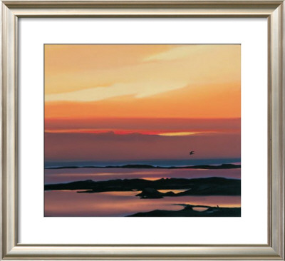 Sunset And Flight by Pam Carter Pricing Limited Edition Print image
