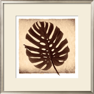 Monstera Ii by Michael Mandolfo Pricing Limited Edition Print image