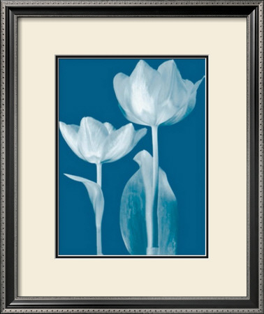 Classic Tulips Iii by Katja Marzahn Pricing Limited Edition Print image