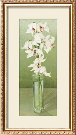Orchid by Galley Pricing Limited Edition Print image
