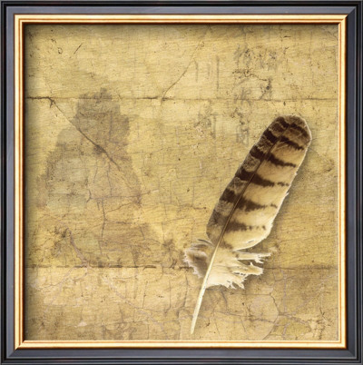 Owl Feather by Susan Friedman Pricing Limited Edition Print image
