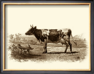 Bovine Ii by Emile Van Marck Pricing Limited Edition Print image