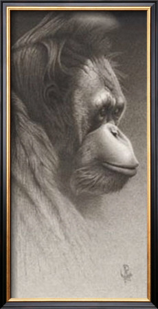 Jojo, The Orangutan by Caldwell Pricing Limited Edition Print image