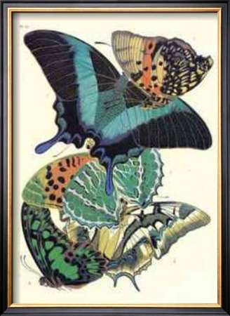 Butterflies Iii by E. A. Seguy Pricing Limited Edition Print image