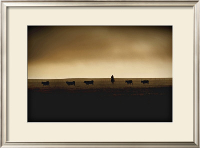 American Cattle Rancher by Jim Tunell Pricing Limited Edition Print image