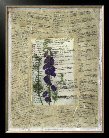 Wildflower Prose Ii by Jennifer Goldberger Pricing Limited Edition Print image