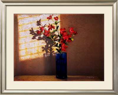 Sunlight & Shadows by Tania Darashkevich Pricing Limited Edition Print image