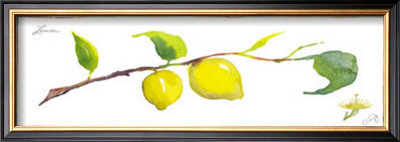 Lemon Branch by Robbin Gourley Pricing Limited Edition Print image