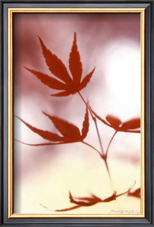 Arrangement Of The Leaves Ii by Gerd Weissing Pricing Limited Edition Print image