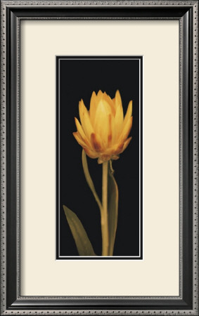 Yellow Flower by Prades Fabregat Pricing Limited Edition Print image