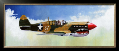 P-40E Warhawk by Douglas Castleman Pricing Limited Edition Print image