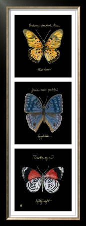 Primary Butterfly Panel Ii by Ginny Joyner Pricing Limited Edition Print image