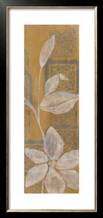 Delicate Panel Ii by Jennifer Goldberger Pricing Limited Edition Print image