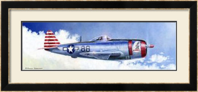 P-47D Thunderbolt by Douglas Castleman Pricing Limited Edition Print image