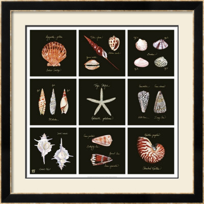 Striking Shells Nine Patch by Ginny Joyner Pricing Limited Edition Print image