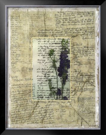 Wildflower Prose I by Jennifer Goldberger Pricing Limited Edition Print image