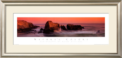 Nature's Colors, Big Sur by Wayne Williams Pricing Limited Edition Print image