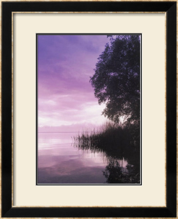 Idyllic Lake Iii by Gerd Weissing Pricing Limited Edition Print image