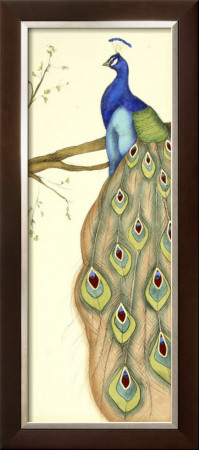 Rebecca's Peacock Ii by Jennifer Goldberger Pricing Limited Edition Print image