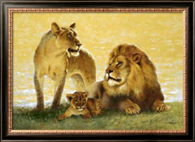 Lions by Joaquin Moragues Pricing Limited Edition Print image