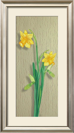 Narcissus by M. Allegri Pricing Limited Edition Print image