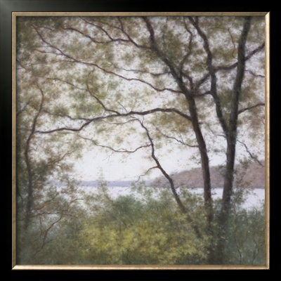 Lakeside Trees I by John Folchi Pricing Limited Edition Print image